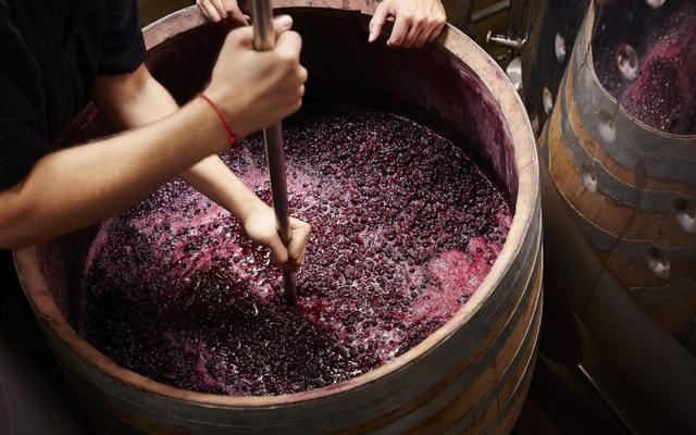 Card Image of vinification